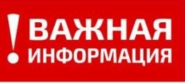 Дополнительные меры социальной поддержки семьям мобилизованных граждан, за счет средств городского бюджета