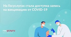 Записаться на прививку от коронавирусной инфекции можно через Госуслуги
