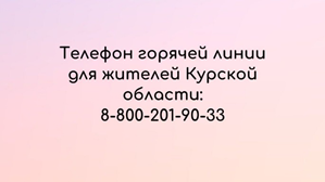 В Челябинской области запущена горячая линия для жителей Курской области