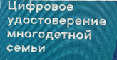 С 1 октября начнется пилотное внедрение цифрового удостоверения для многодетных семей