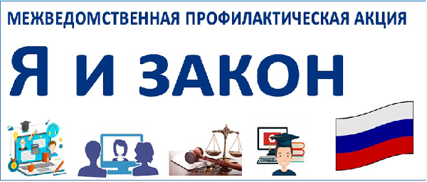 С 1 ноября в Челябинске стартует межведомственная профилактическая акция «Я и закон»