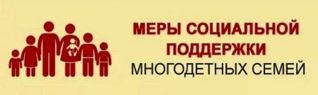 В Челябинской области многодетные семьи могут оформить меры социальной поддержки через интернет