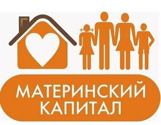 С 15 августа родители могут оплачивать маткапиталом образовательные услуги ИП