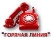 В Челябинской области для населения и работодателей стартует работа «горячей линии»