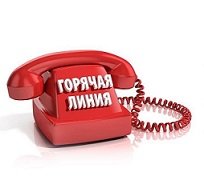 Горячая линия по вопросам предоставления дополнительных мер социальной поддержки