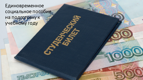 В Челябинской области многодетные семьи и семьи с детьми-инвалидами могут оформить единовременное социальное пособие на подготовку к учебному году