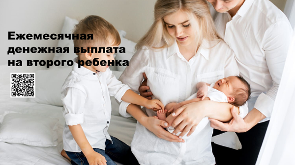 В Челябинской области заявление на ежемесячную денежную выплату на второго ребенка можно подать в электронном виде